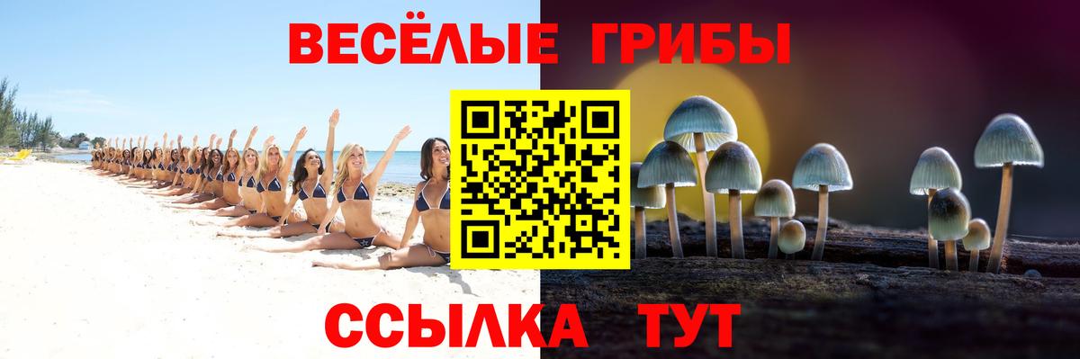 продажа наркотиков  Галлюциногенные грибы GOLDEN TEACHER  Новочебоксарск  Вход с VPN  Псилоцибиновые грибы Psilocybe 